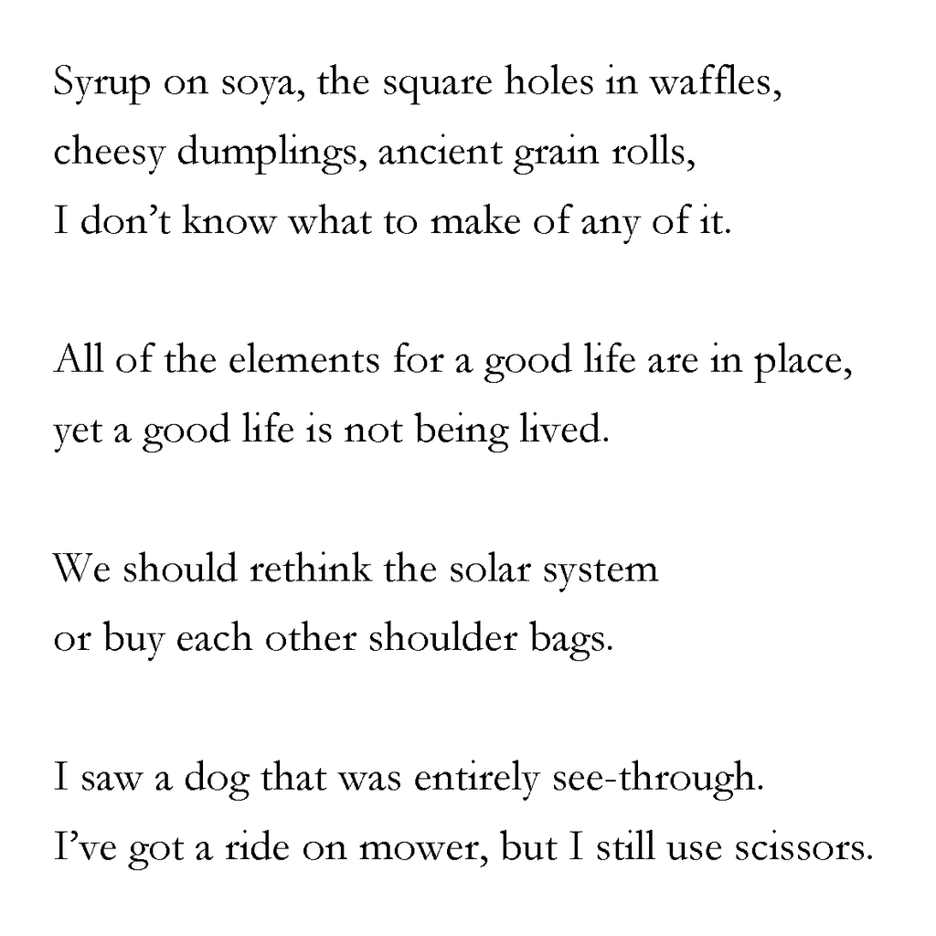 Poem text: Syrup on soya, the square holes in waffles, cheesy dumplings, ancient grain rolls, I don't know what to make of any of it. All of the elements for a good life are in place, yet a good life is not being lived. We should rethink the solar system or buy each other shoulder bags. I saw a dog that was entirely see-through. I've got a ride-on mower, but I still use scissors.